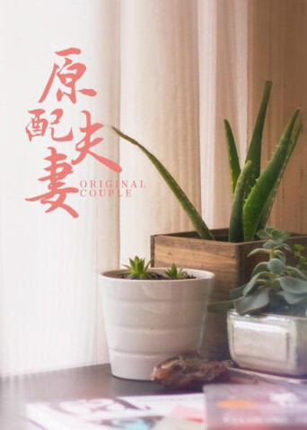 原配夫妻 海报 高清在线观看