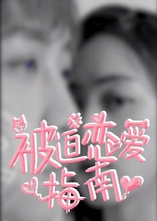 被迫恋爱指南 海报 高清在线观看