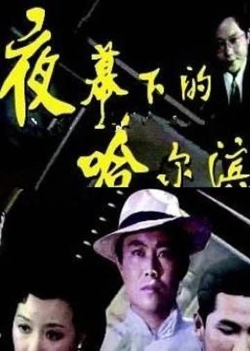 夜幕下的哈尔滨 海报 高清在线观看
