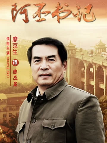 阿丕书记 海报 高清在线观看