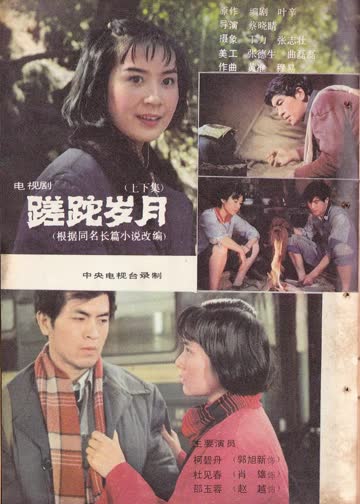 蹉跎岁月 海报 高清在线观看
