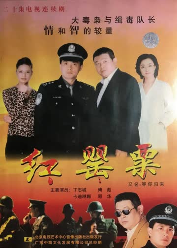 等你归来 海报 高清在线观看