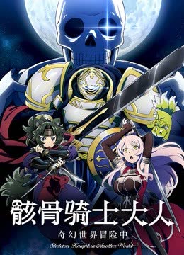 骸骨骑士大人奇幻世界冒险中 海报 高清在线观看