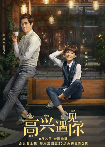 高兴遇见你 海报 高清在线观看