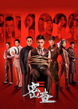 密查 海报 高清在线观看