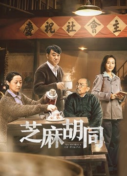 芝麻胡同 海报 高清在线观看