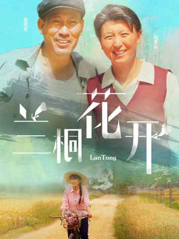 兰桐花开 海报 高清在线观看