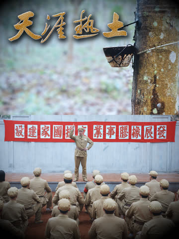 天涯热土 海报 高清在线观看