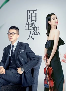 陌生的恋人 海报 高清在线观看
