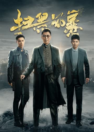 扫黑风暴 海报 高清在线观看