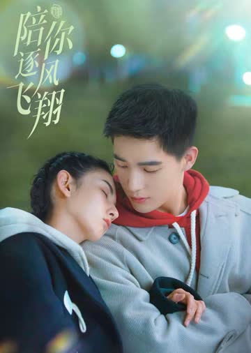 陪你逐风飞翔 海报 高清在线观看