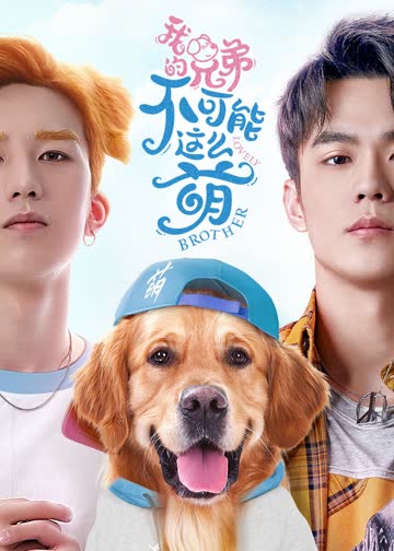 我的兄弟不可能这么萌 海报 高清在线观看