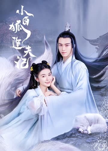 小白狐追夫记 海报 高清在线观看
