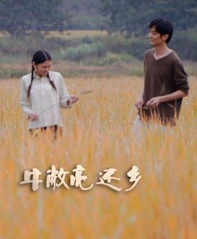 牛敞亮还乡 海报 高清在线观看