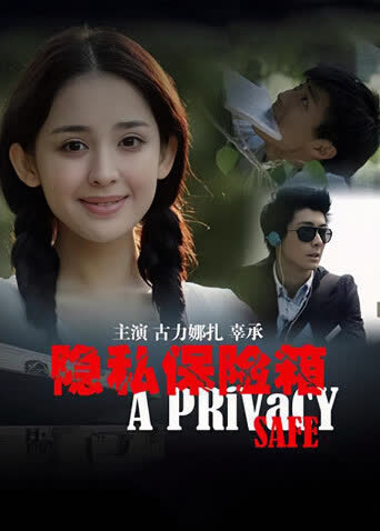 隐私保险箱 海报 高清在线观看