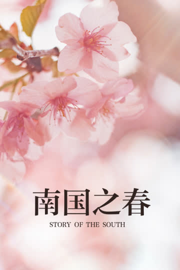南国之春 海报 高清在线观看