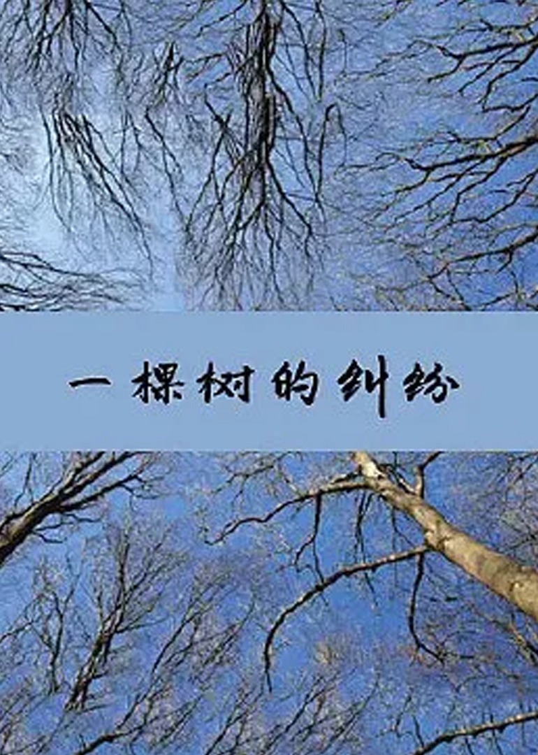 一棵树的纠纷 海报 高清在线观看