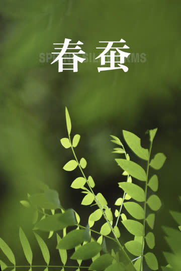 春蚕 海报 高清在线观看