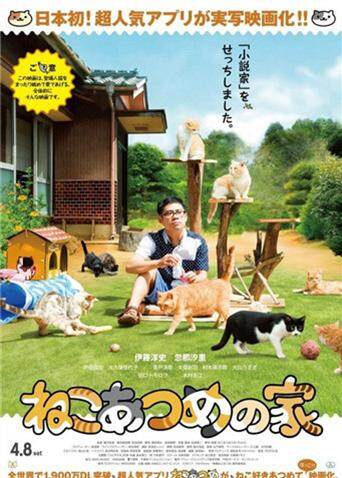 猫咪后院之家 海报 高清在线观看