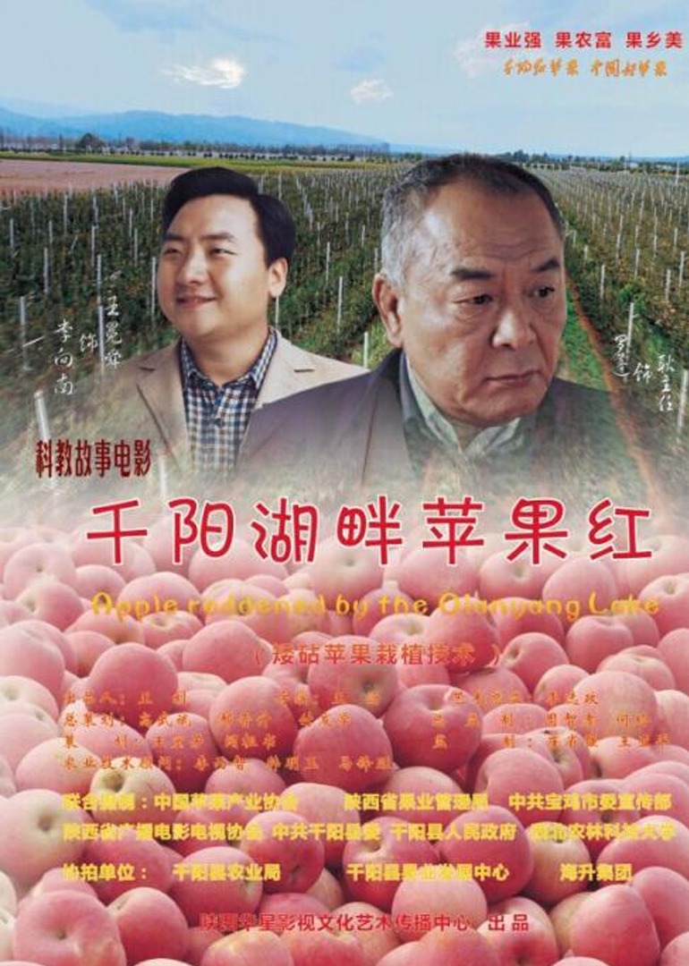 千阳湖畔苹果红 海报 高清在线观看
