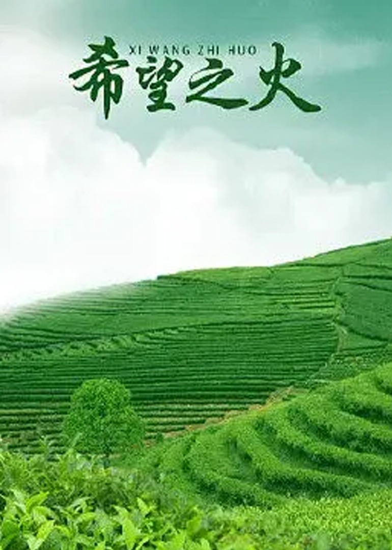 希望之火 海报 高清在线观看