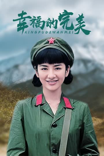 幸福的完美 海报 高清在线观看