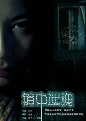 镜中迷魂 海报 高清在线观看