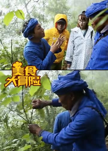 旅行家 海报 高清在线观看