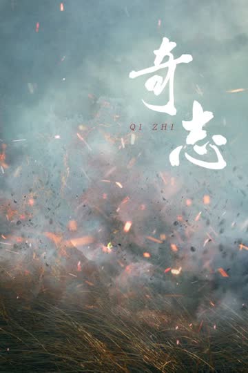 奇志 海报 高清在线观看
