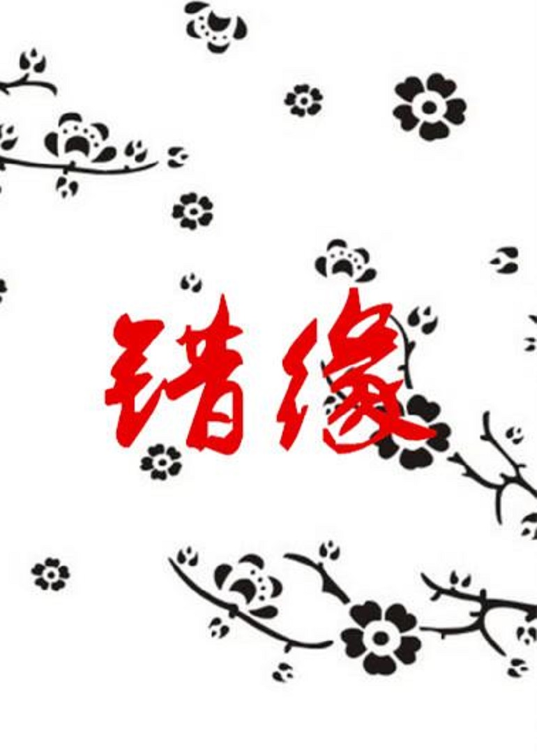 错缘 海报 高清在线观看