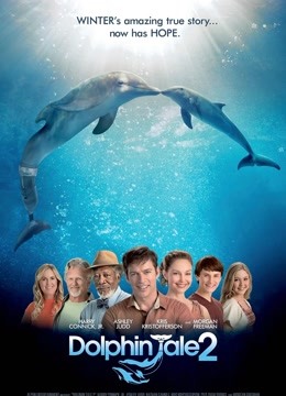 海豚的故事2 海报 高清在线观看