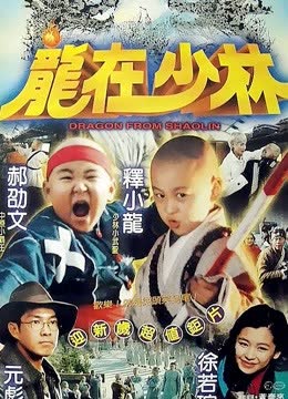 龙在少林 海报 高清在线观看