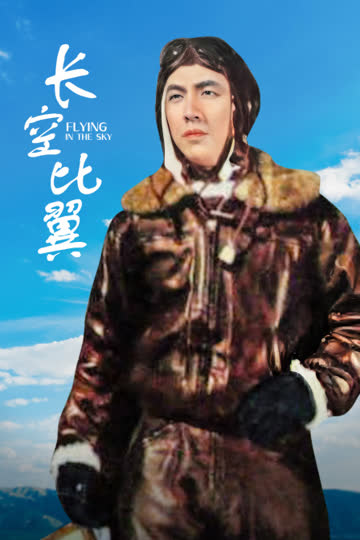 长空比翼 海报 高清在线观看
