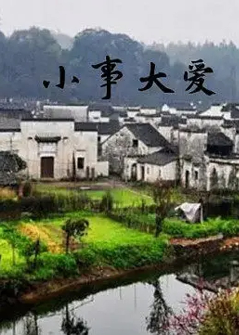 小事大爱 海报 高清在线观看