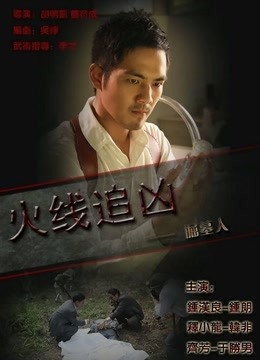 火线追凶之掘墓人 海报 高清在线观看