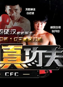 中国真功夫 海报 高清在线观看