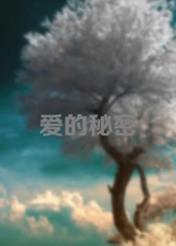 爱的秘密 海报 高清在线观看