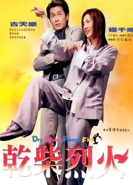 干柴烈火 海报 高清在线观看