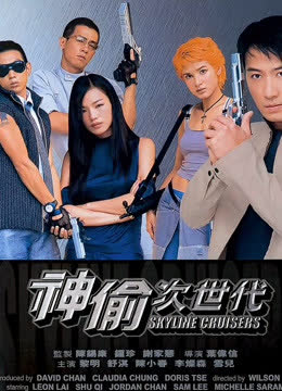 神偷次世代 海报 高清在线观看