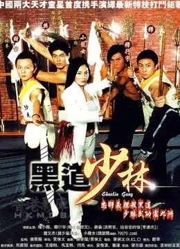黑道少林 海报 高清在线观看