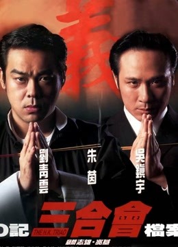 O记三合会档案 海报 高清在线观看