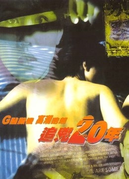 追凶20年 海报 高清在线观看