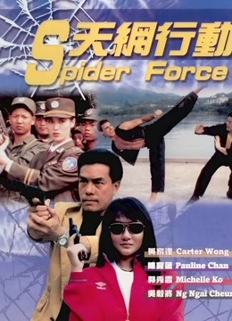 天网行动 海报 高清在线观看