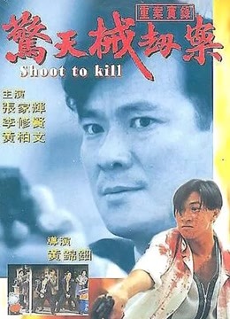 重案实录之惊天械劫案 海报 高清在线观看