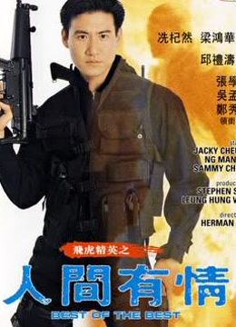 飞虎精英之人间有情 海报 高清在线观看