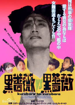 92黑玫瑰对黑玫瑰 海报 高清在线观看