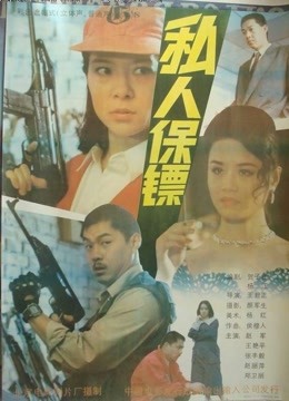 私人保镖 海报 高清在线观看