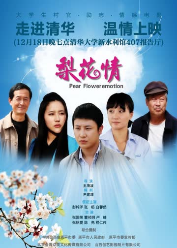 梨花情 海报 高清在线观看