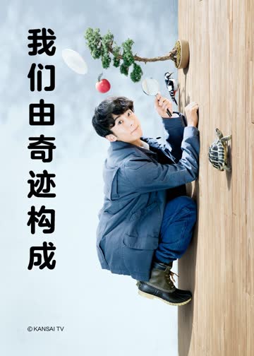 我们由奇迹构成 海报 高清在线观看