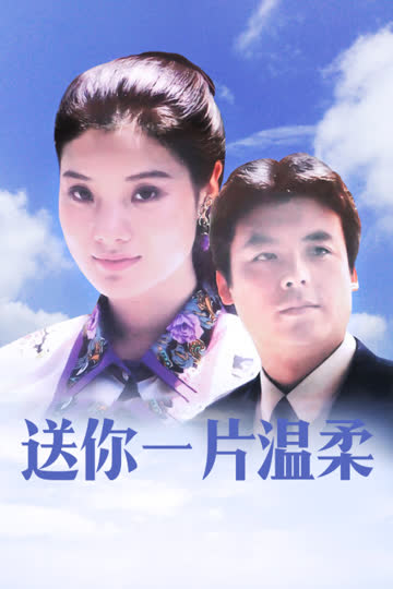送你一片温柔 海报 高清在线观看